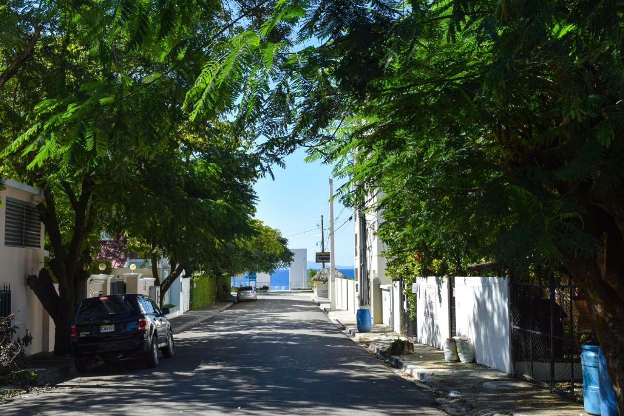 Hotel Alicia Beach Sosúa المظهر الخارجي الصورة